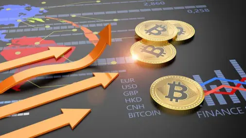 Best Crypto and Blockchain Course